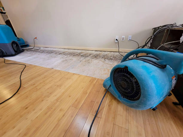 Professional Structural Drying technician working in Peru, ME